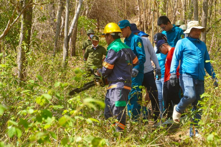 Mở thông tuyến đường 10 km xuyên núi Lớn ở Vũng Tàu
