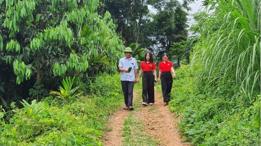 Cán bộ Agribank thăm vùng nguyên liệu quế tại Yên Bái của Công ty cổ phần Prosi Thăng Long. Ảnh: Agribank