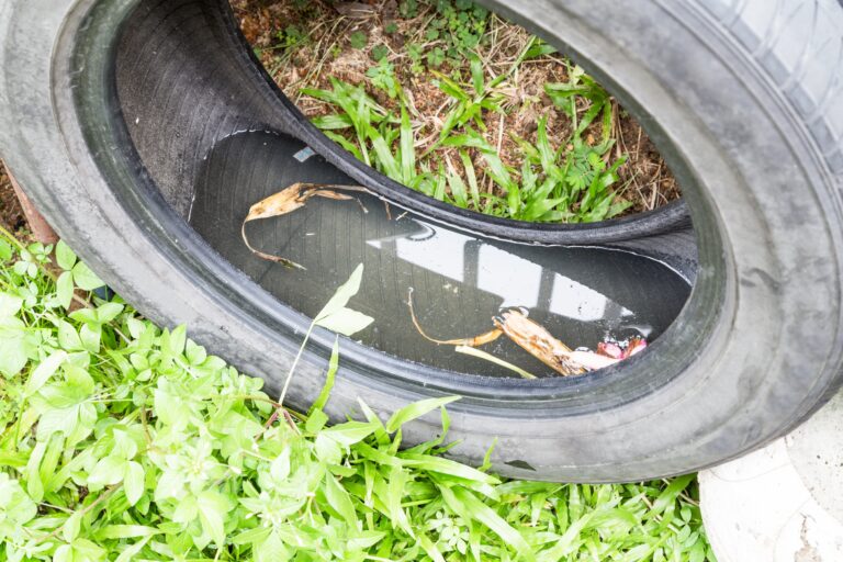 Đồng Nai: Sốt xuất huyết Dengue tăng sớm dù chưa vào mùa cao điểm