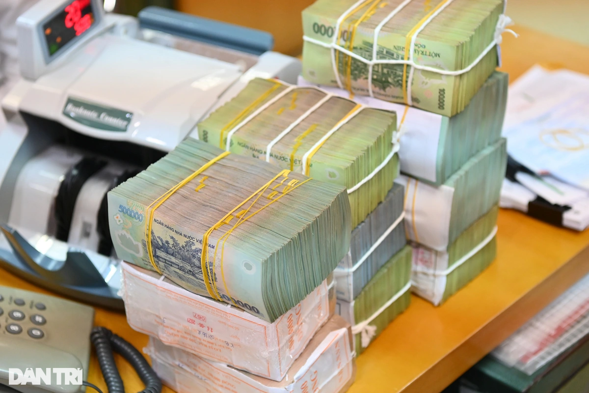 Kết luận thanh tra của Ngân hàng Nhà nước đối với Ngân hàng Số Vikki
