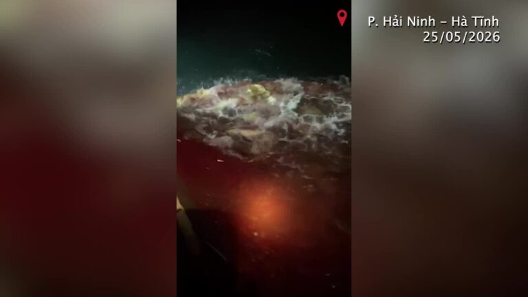Ngư dân Hà Tĩnh trúng hơn một tấn cá chim vàng