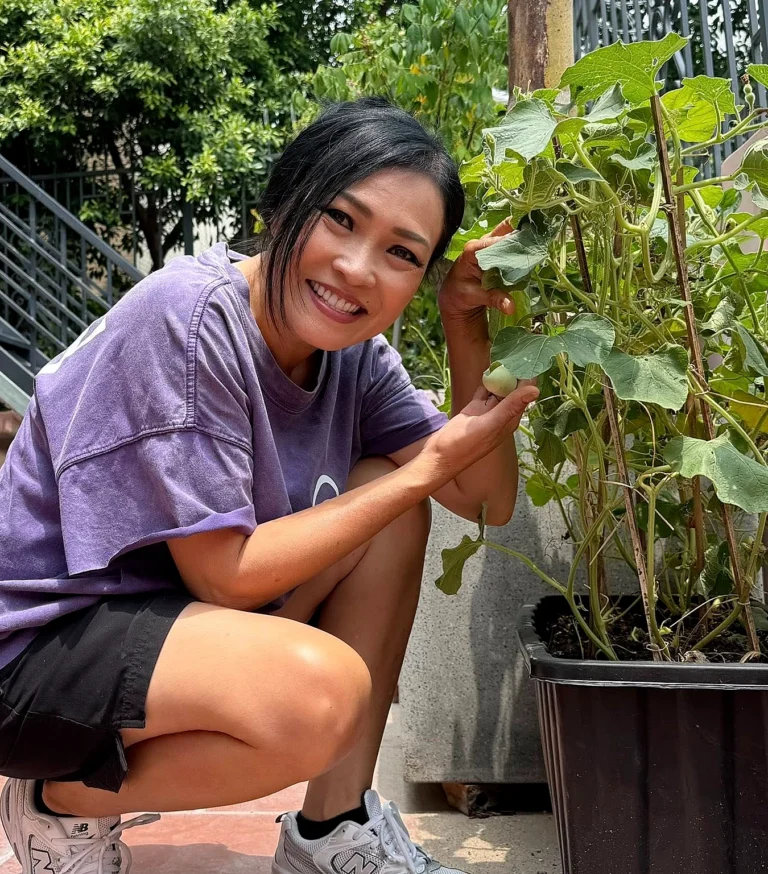 Vườn rau mini trên sân thượng của Phương Thanh