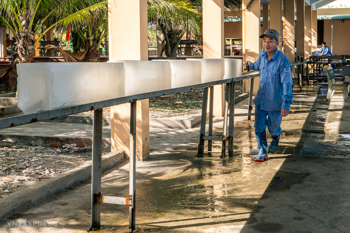 Những năm gần đây, quần đảo chủ yếu phát triển kinh tế biển với nhiều âu tàu, dịch vụ hậu cần tàu cá, nghiên cứu khoa học, y tế, văn hóa cho quân, dân trên các đảo và ngư dân đánh bắt trên ngư trường Trường Sa. Trong ảnh, ngư dân Bình Định mua đá để ướp hải sản tại Trung tâm Dịch vụ Hậu cần Nghề cá, đảo Đá Tây A.