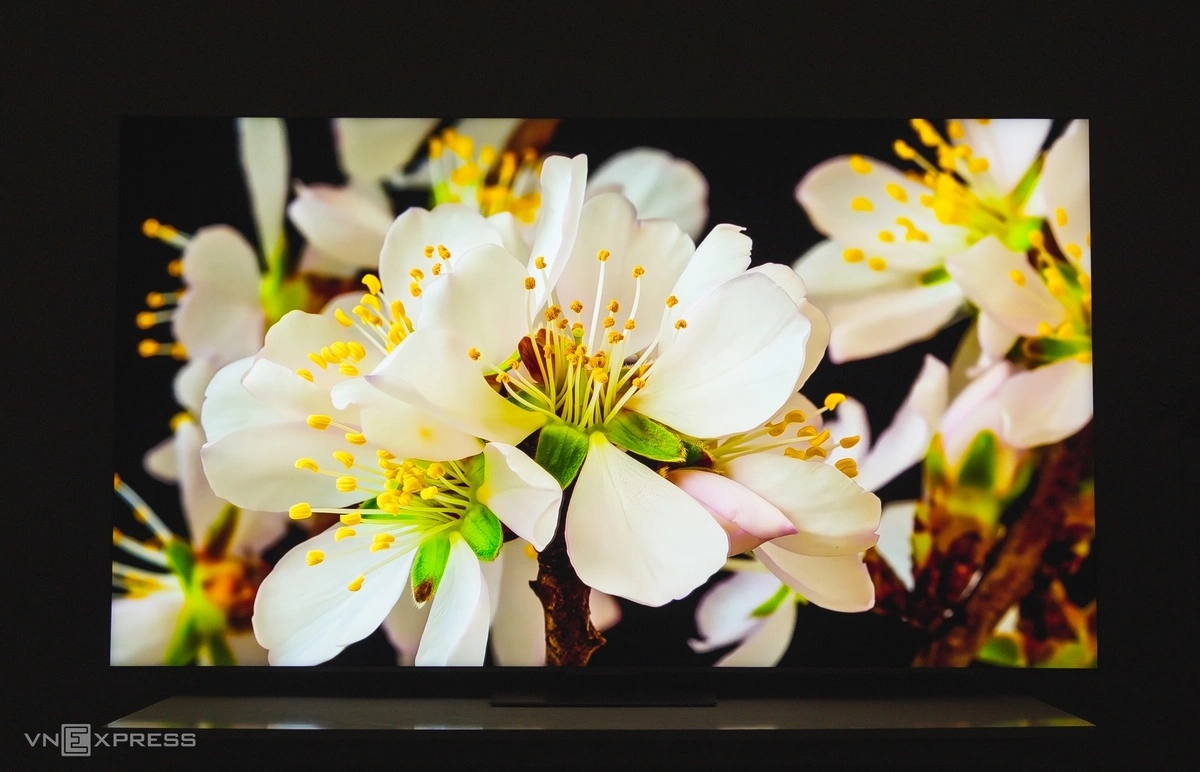 Thị trường TV đầu năm 2026 với xu hướng công nghệ RGB mới rõ nét nhưng TCL vẫn trung thành với Mini LED ở dòng sản phẩm cao cấp nhất của mình tại thị trường Việt Nam. SQD-Mini LED C8L là một trong những mẫu hiếm hoi hiển thị 100% dải màu BT.2020, độ sáng cao 6.000 nit và hệ thống loa hàng hiệu Bang&Olufsen. Ưu điểm: - Hiển thị màu sắc bắt mắt, màu đen sâu, tương phản cao - Loa tích hợp có chất lượng âm thanh tốt - Thiết kế cao cấp, viền siêu mỏng - Hệ điều hành Google TV mượtNhược điểm: - Giá bán khó tiếp cận với thương hiệu tại Việt Nam - Màu đỏ trong một số trường hợp hơi rực