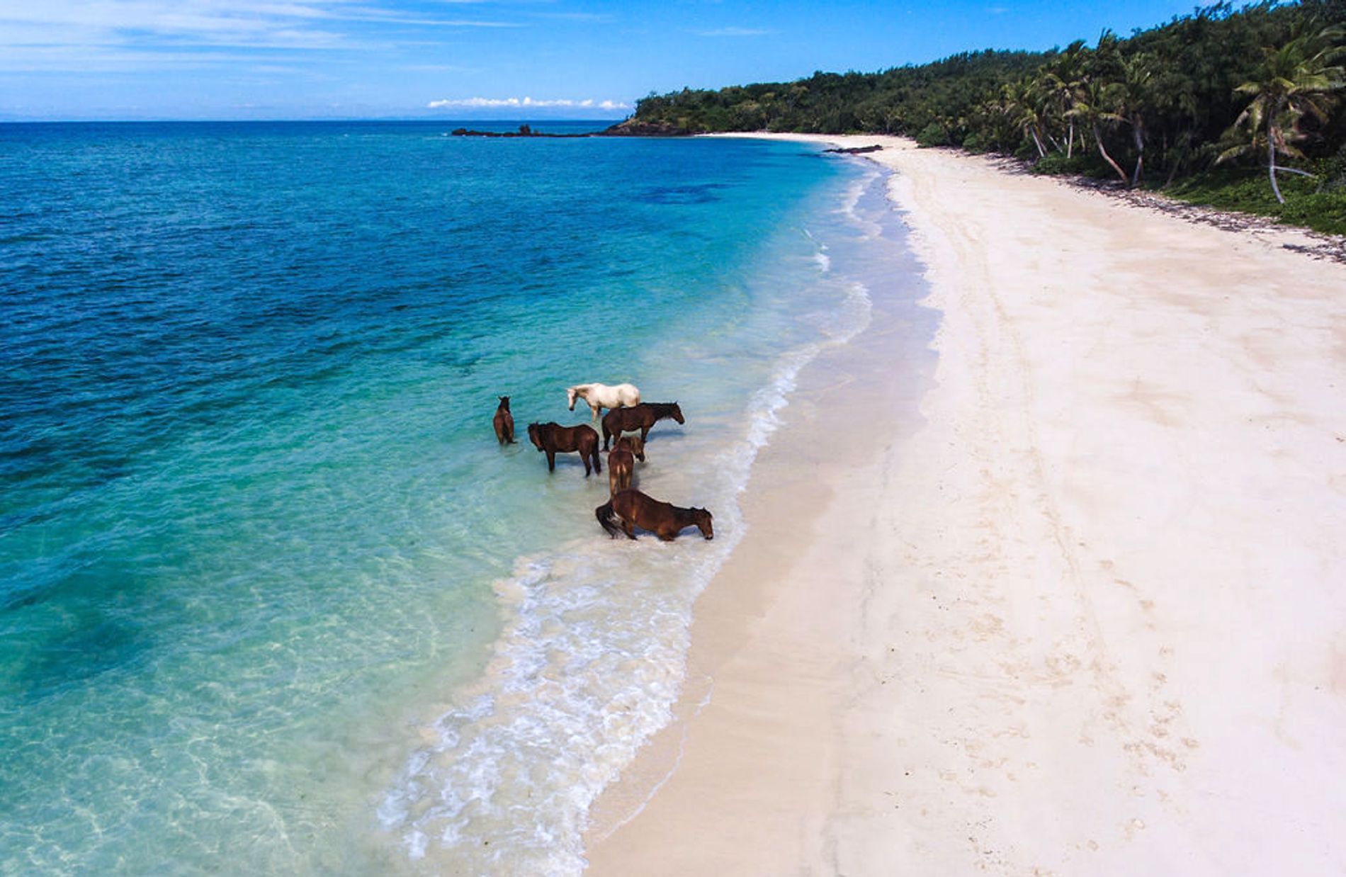Cưỡi ngựa trên bãi biển tại Turtle Island Fiji