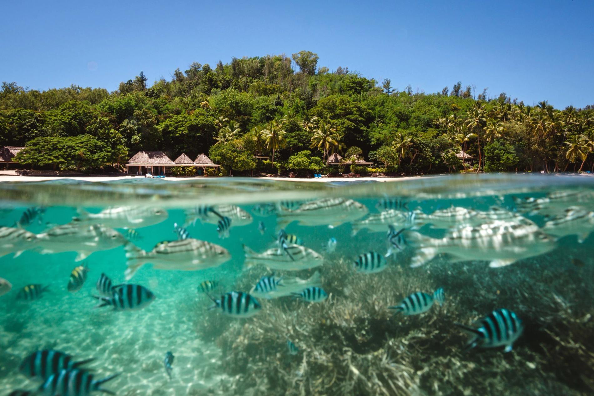 Bãi biển và mặt nước xanh tại Turtle Island Fiji