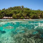 Turtle Island Fiji: khu nghỉ riêng tư khiến kỳ nghỉ biển khó còn như cũ