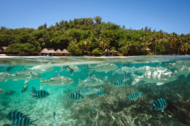 Turtle Island Fiji: khu nghỉ riêng tư khiến kỳ nghỉ biển khó còn như cũ
