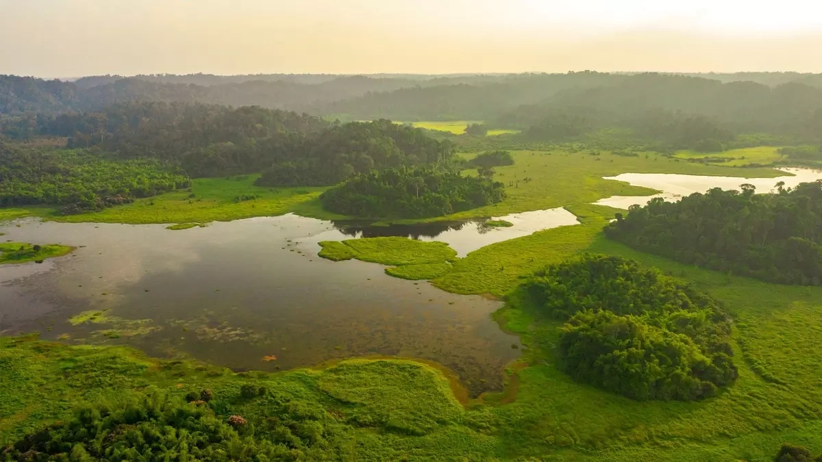 Năm 2005, khu đất ngập nước Bàu Sấu của vườn được Ban thư ký Công ước Ramsar đưa vào danh sách vùng đất ngập nước có tầm quan trọng quốc tế. Đây là khu đất ngập nước thứ 1.499 của thế giới và là khu thứ hai của Việt Nam Đường từ trung tâm hành chính VQG Cát Tiên đường đến Bàu Sấu dài khoảng 14 km. Đây là nơi sinh sống của loài sấu nước ngọt quý hiếm (còn gọi là cá sấu xiêm, tên khoa học là crocodylus siamensis). Ảnh: VQG Cát Tiên - Tăng A Pẩu