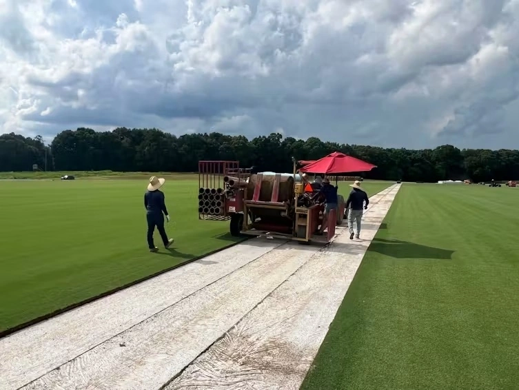 Thu hoạch thảm cỏ tại trang trại Carolina Green Turf Farm ở Mỹ vào tháng 6/2025. Ảnh: The Conversation