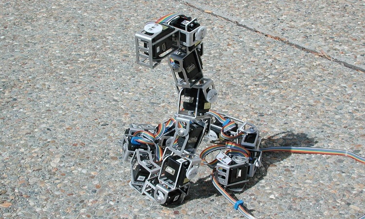 Robot rắn Snakebot của NASA. Ảnh: Wikipedia