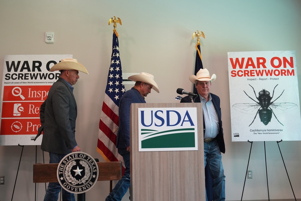 Các chủ trại Texas trong cuộc họp báo về cuộc chiến chống ruồi xoắn ở Kerrville, ngày 8/6/2026. Ảnh: AP