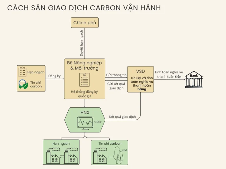 Sàn giao dịch carbon vận hành thế nào?