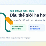 Giá xăng dầu hôm nay 25/6: dầu thế giới giảm hơn 1%, trong nước giữ mức sau kỳ điều chỉnh