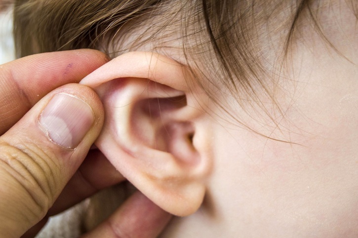 Nhà nuôi nhiều thú cưng, bé gái bị bọ chét chui vào tai ký sinh