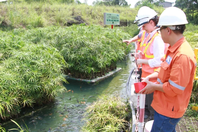 Masan 5 năm liền vào Top 50 doanh nghiệp bền vững