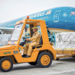 Công ty làm dịch vụ hàng hóa ở Nội Bài muốn trả cổ tức 100%