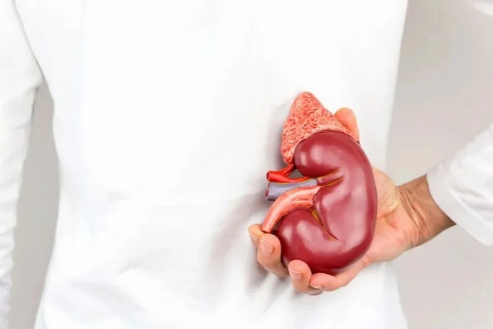Những tín hiệu hàng ngày cho thấy chức năng thận ổn định