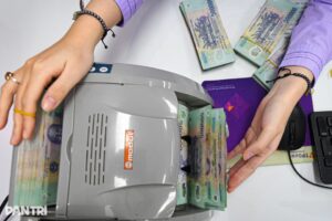 Làm rõ thông tin ngân hàng phải cung cấp tài khoản người nộp thuế
