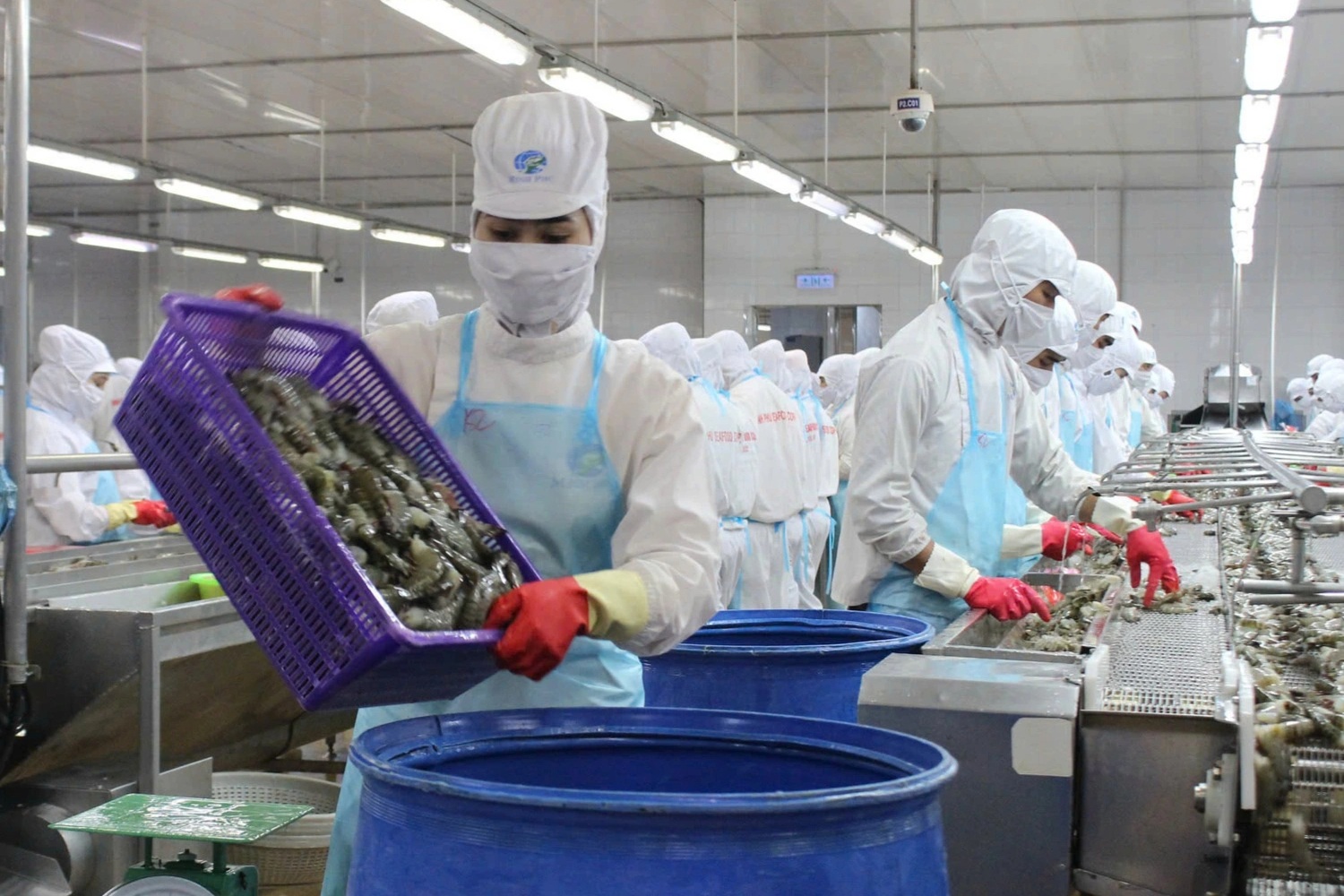 Bất chấp nhiều áp lực, xuất khẩu thủy sản vẫn tăng trưởng 2 con số