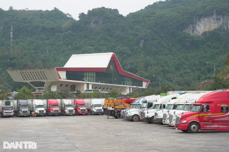 Chuyên gia lý giải nghịch lý nhập siêu trong bối cảnh sản xuất tăng tốc