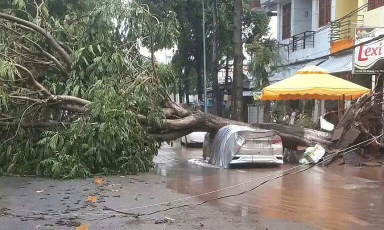 Mưa giông quật đổ hàng chục cây xanh, đè hai ôtô
