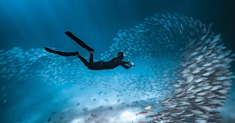 Four Seasons Explorer Palau: nghỉ dưỡng nổi giữa thiên đường lặn