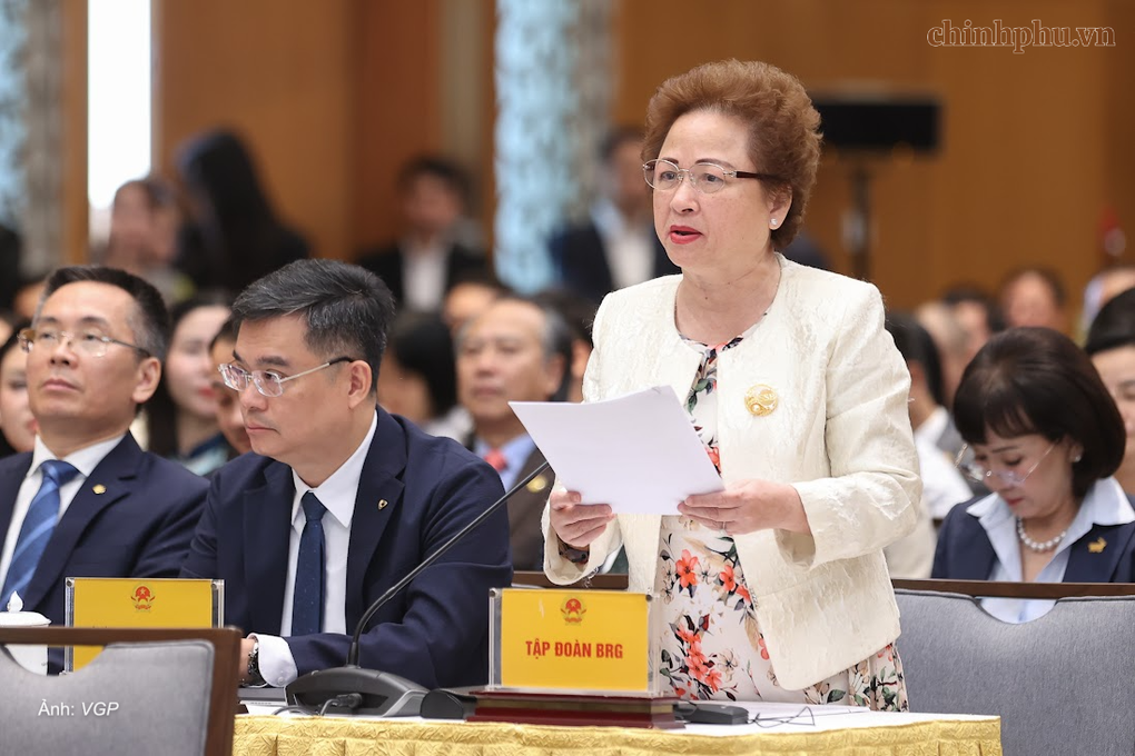 Bà Nguyễn Thị Nga, Quyền chủ tịch Hội Doanh nhân Tư nhân Việt Nam, Chủ tịch Tập đoàn BRG, Phó chủ tịch Thường trực SeABank. Ảnh: VGP