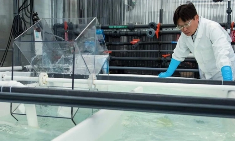 Phát triển lò phản ứng khai thác khoáng sản từ nước biển