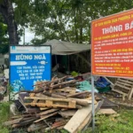 Phường ở Đà Nẵng thưởng một triệu đồng cho người báo tin đổ rác sai quy định