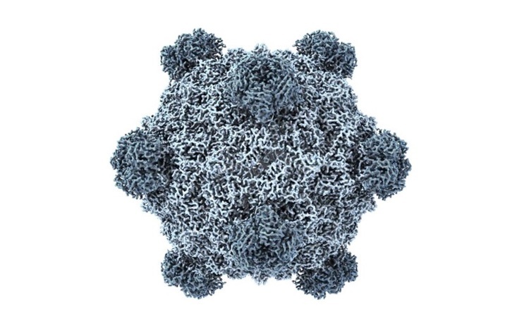 AI tạo ra 16 loại virus chưa từng có trong tự nhiên